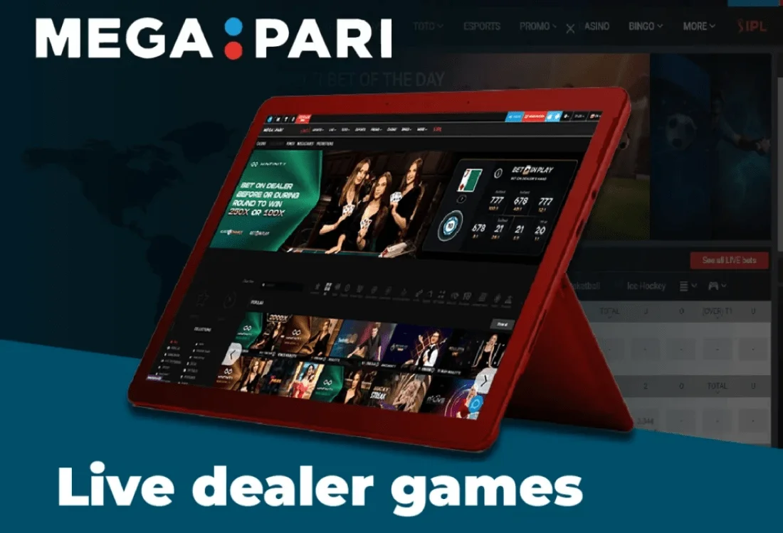 Stake jogo de aposta