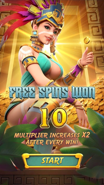 Estrela bet app