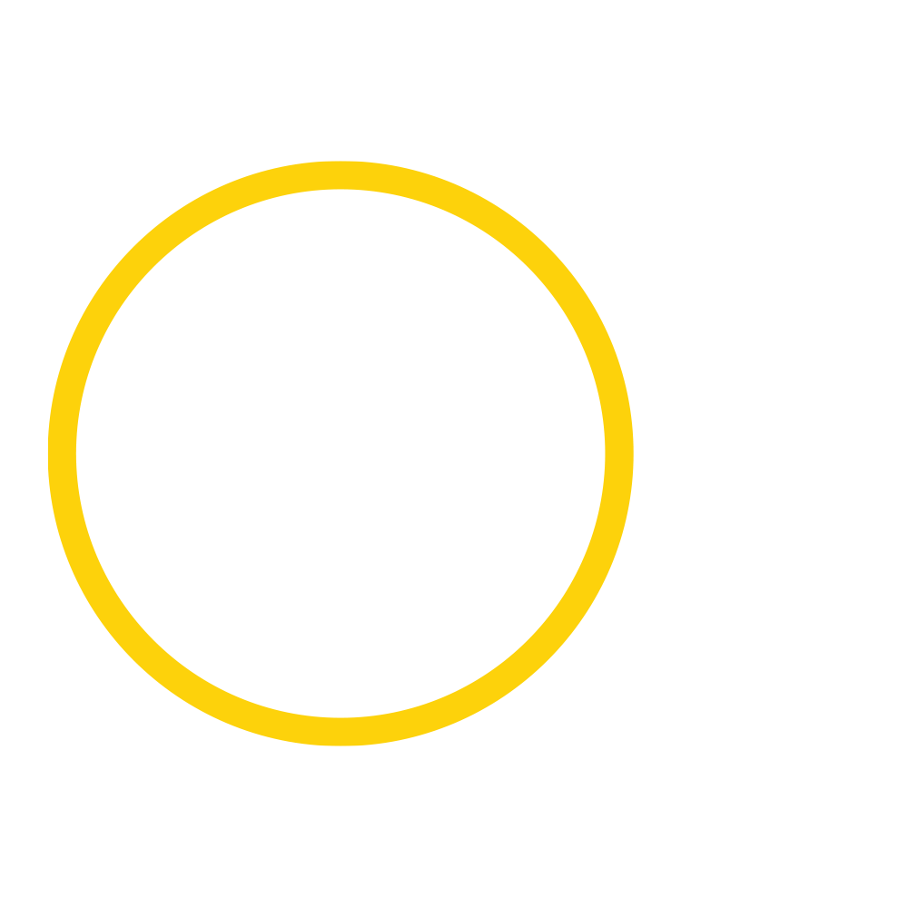 Crash bets - Did777
