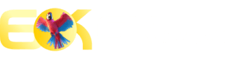 Xbets - Did777
